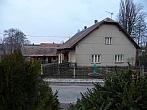 Třibřichy